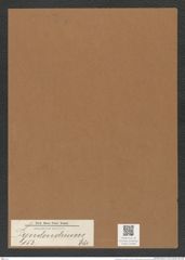 Syndendrium sp. (de-Toni-Nr.: Genus 153) Zeichnungen Sammlung Grunow Mappe 04206 (Herbarium_W_Grunow_drawings_Folder_04206)